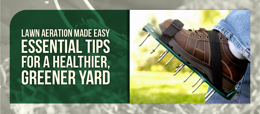 Lawn Aeration Made Easy: Essential Tips for a Healthier, Greener Yard