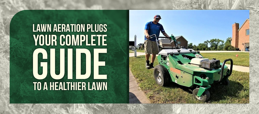 Lawn Aeration Plugs: Your Complete Guide to a Healthier Lawn