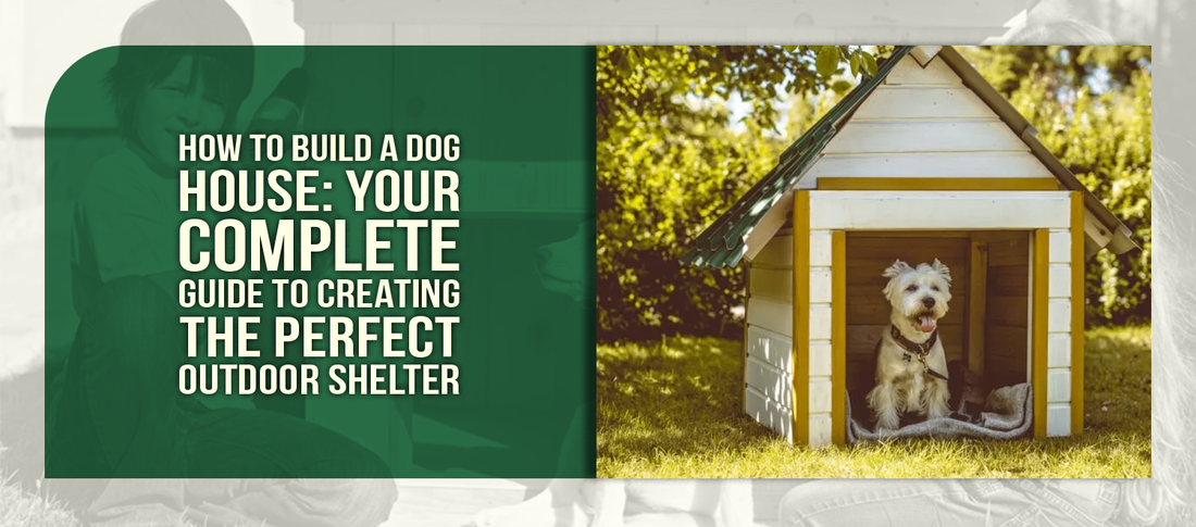 How to Build a Dog House: Your Complete Guide to Creating the Perfect Outdoor Shelter