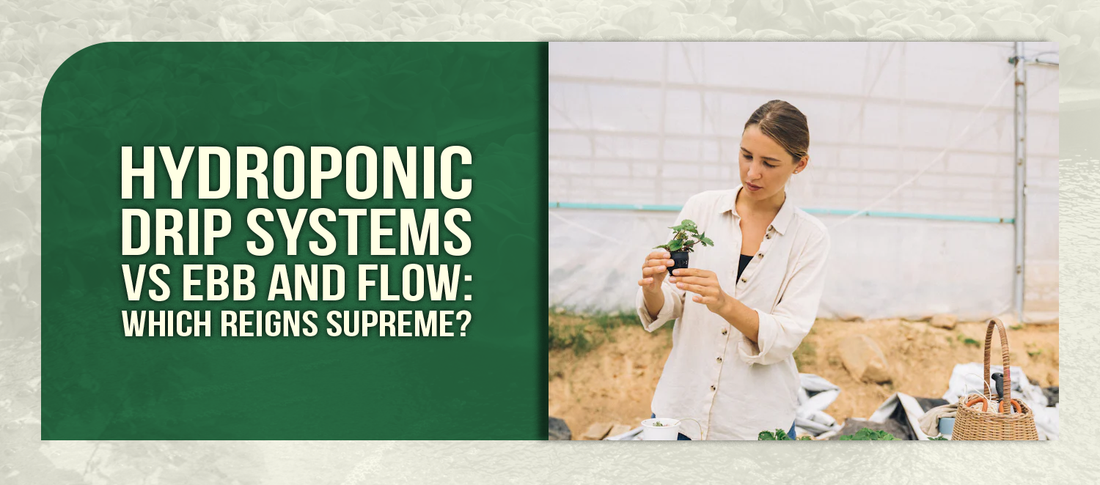 Hydroponic Drip Systems vs Ebb and Flow: Which Reigns Supreme?