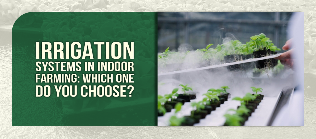 Irrigation Systems in Indoor Farming: Which One Do You Choose?