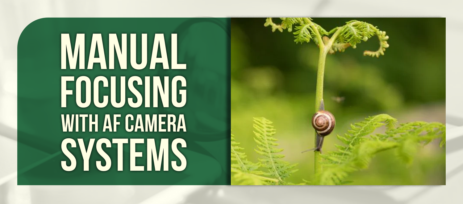 Manual Focusing with AF Camera Systems – Build Your Perfect Outdoor