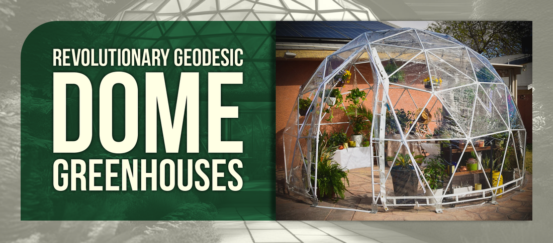 Revolutionary Geodesic Dome Greenhouses