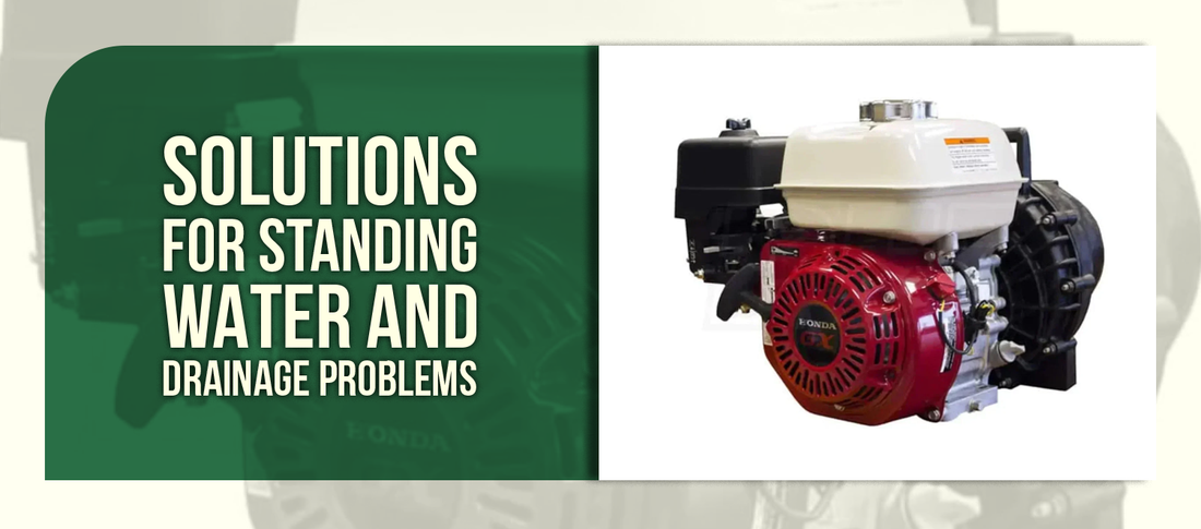 Complete Guide to Dewatering Your Backyard: Solutions for Standing Water and Drainage Problems