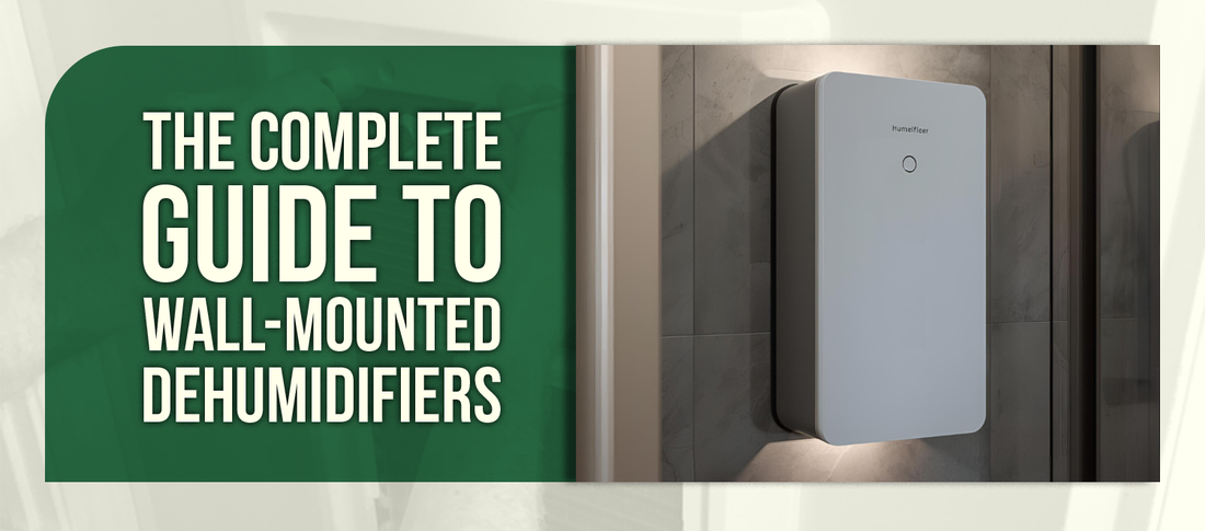 The Complete Guide to Wall-Mounted Dehumidifiers