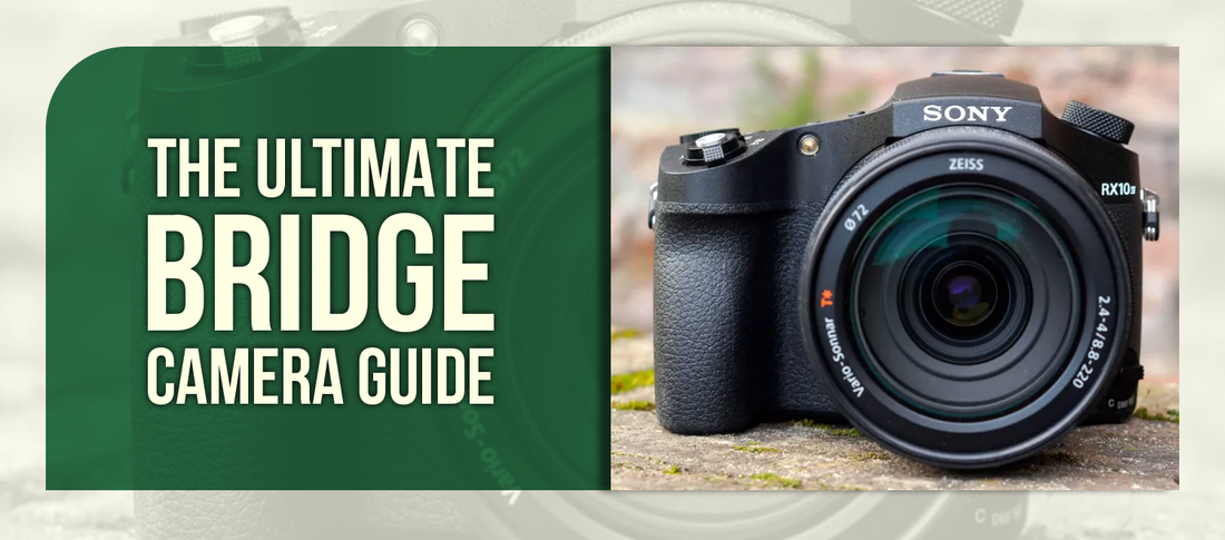 The Ultimate Bridge Camera Guide: Maximum Zoom in One Package