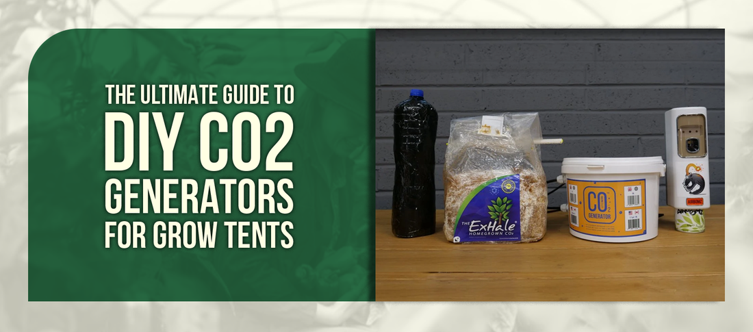 The Ultimate Guide to DIY CO2 Generators for Grow Tents
