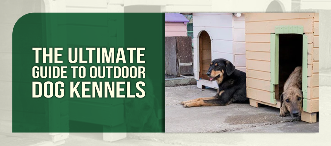 The Ultimate Guide to Outdoor Dog Kennels