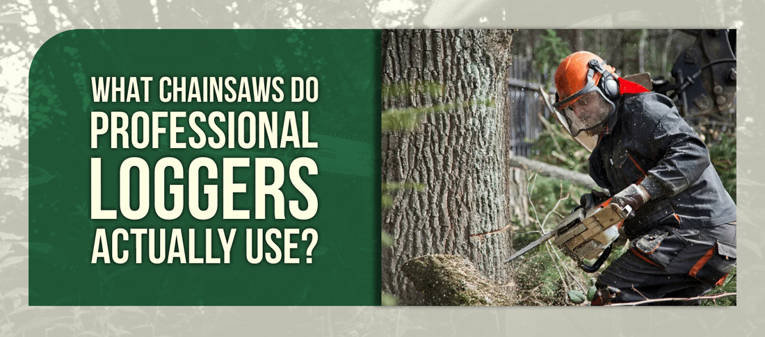 What Chainsaws Do Professional Loggers Actually Use? – Build Your ...