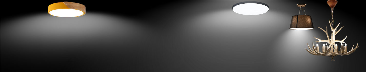Ceiling Light