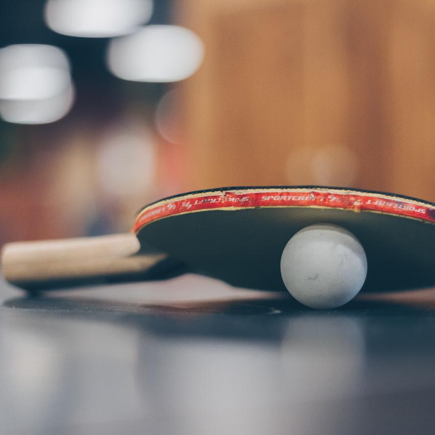 Table Tennis Collection
