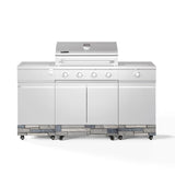 Tytus Fresno 5-Burner LP/NG Convertible Grill in Stainless Steel + Shadow Stone - TDT-021-0702