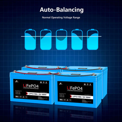 Sun Gold 2 X 12V 100AH LiFePO4 Deep Cycle Lithium Battery / Bluetooth /Self-heating / IP65
