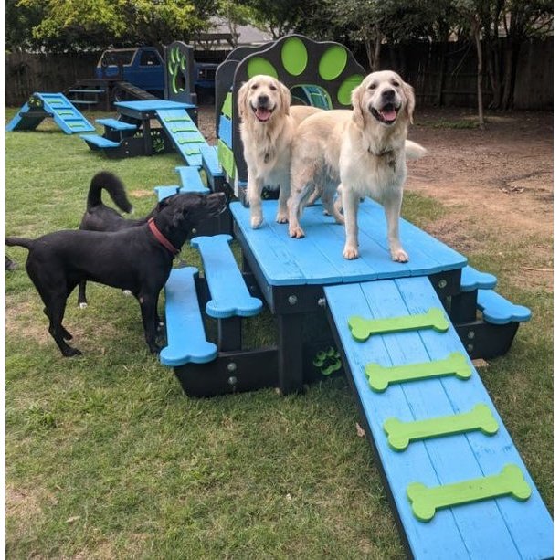 Puppy Scapes Double Platform with Tunnel - PS-DPWT