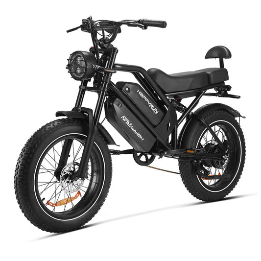 HappyRun G70 48V/38Ah 2000W Electric Cargo Bike