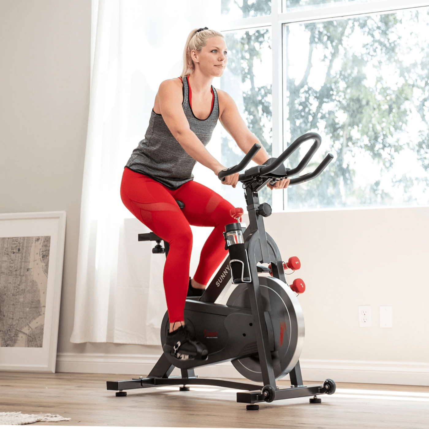 Sunny Health & Fitness Pro II Magnetic Indoor Cycling Bike