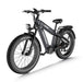 Himiway D5 Plus Rhino | Dual Battery Off-road Electric Bike