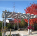 Outdoor Living Today Breeze Pergola | 14×16 - BZ1416-6 POST
