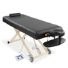 Professional Electric Lift Massage Table with Accessories