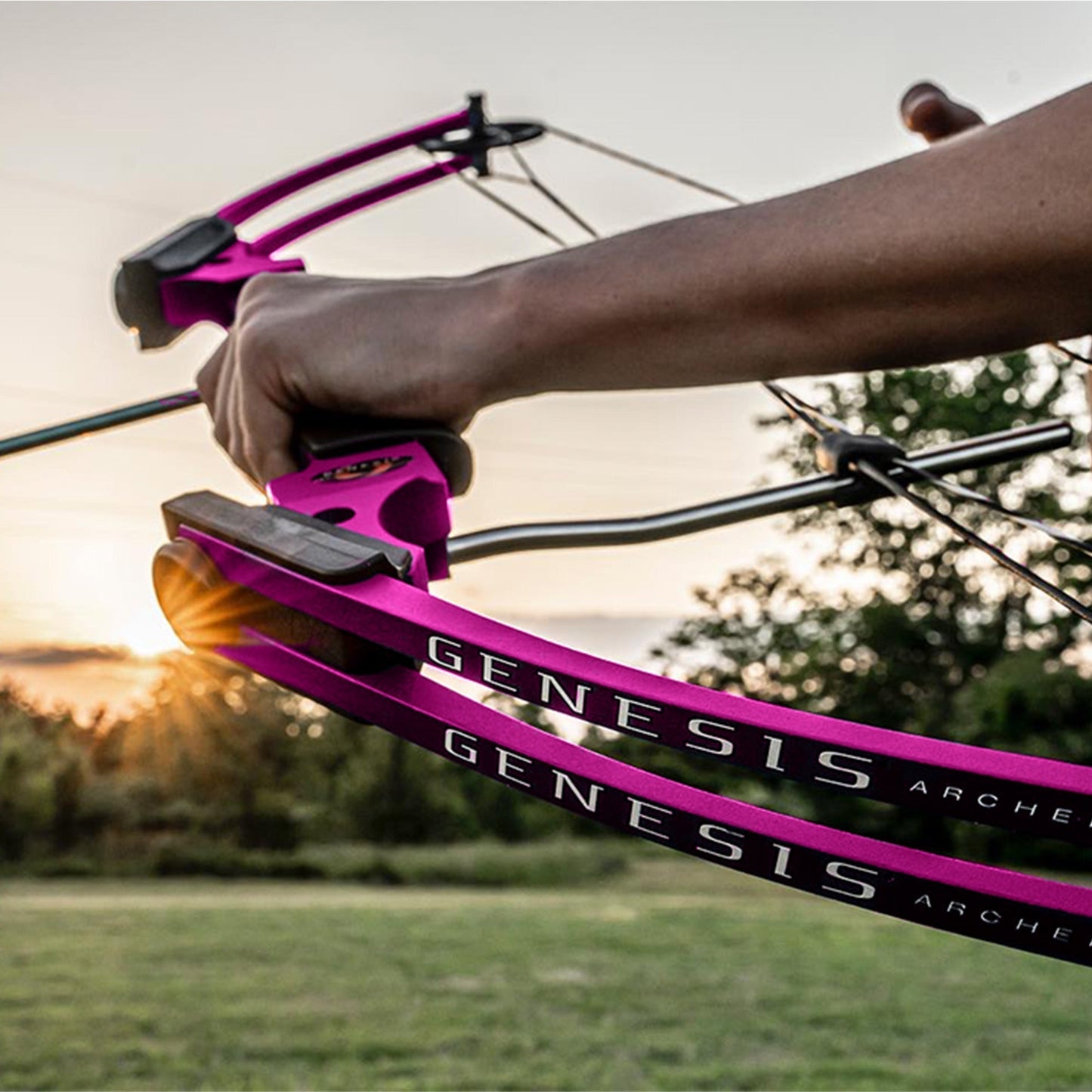 Genesis Archery Compound Bow Adjustable Sizing for Right Handed, Purple (2 Pack) - 323664