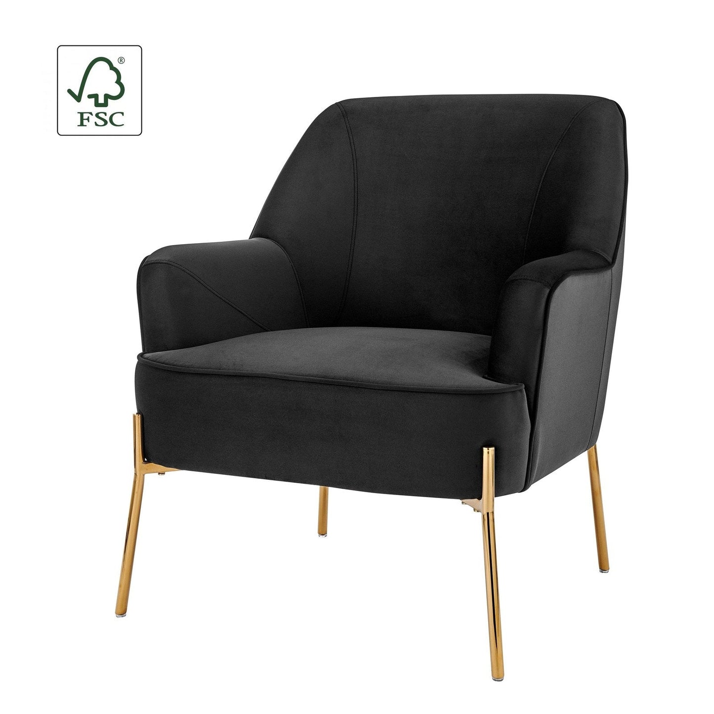 New Pacific Direct Arianna Velvet Fabric Accent Arm Chair 1900183-575 - 1900183-575