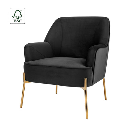 New Pacific Direct Arianna Velvet Fabric Accent Arm Chair 1900183-575 - 1900183-575