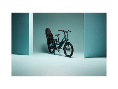 RadWagon™ Electric Cargo Bike - 102-00051