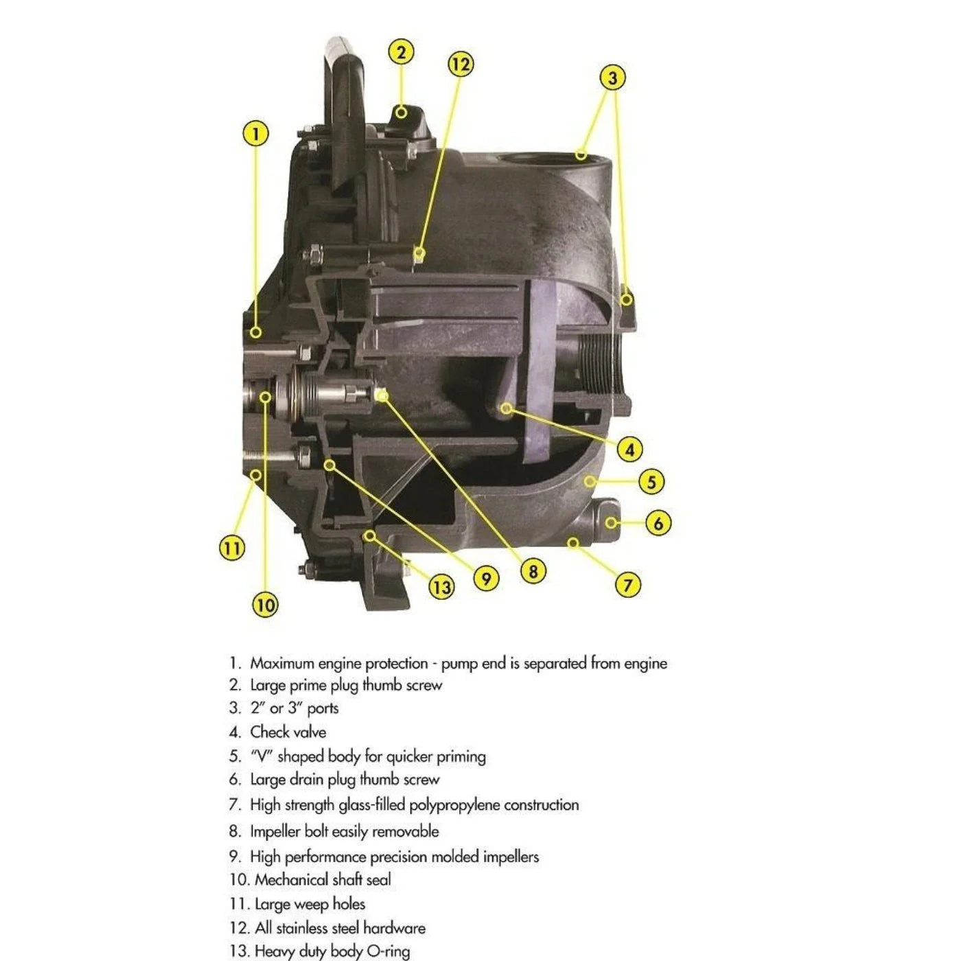 2 Inch Banjo Dewatering Pump Honda GX160 205PH-5-160.BAN