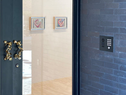 DoorBird D1101KH Classic Flush-Mount IP Video Door Station, 1 Call Button in  Stainless Steel V2A