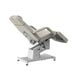 Silver Fox Professional Electric Facial Chair - 2219B