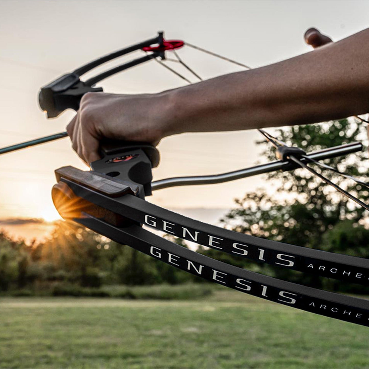 Genesis Archery Original Adjustable Right Handed Compound Bow, Black (5 Pack) - 323580