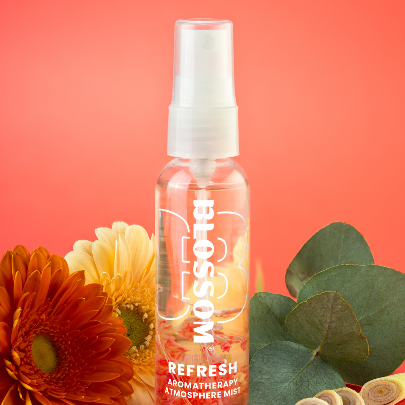 Blossom Atmosphere Mist - BL-ATMIST-01-REFRESH