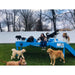 Puppy Scapes Agility Confidence course w/ Your Logo - PS-ACCWYL