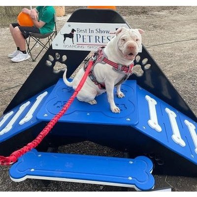 Puppy Scapes HDPE - Hi Density Polyethylene Double Ramp Mini version - PS-HDPEM