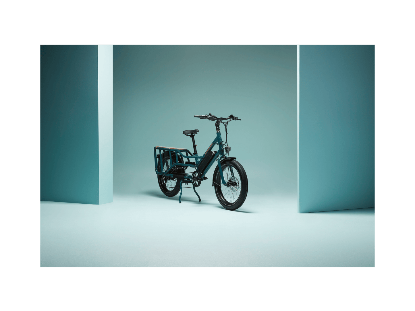 RadWagon™ Electric Cargo Bike - 102-00051