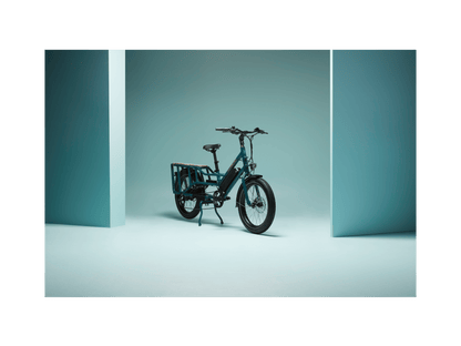 RadWagon™ Electric Cargo Bike - 102-00051