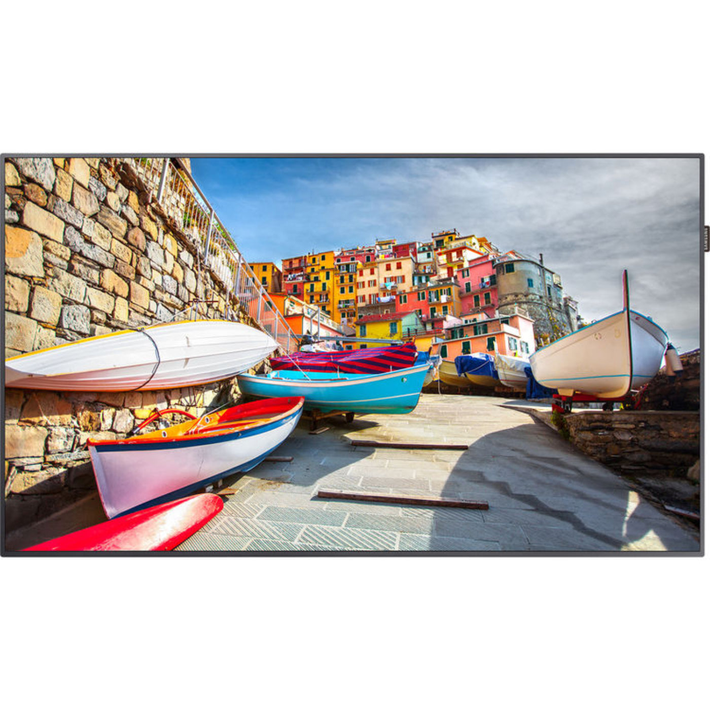Samsung  Full HD Commercial Smart LED TV - PM49H