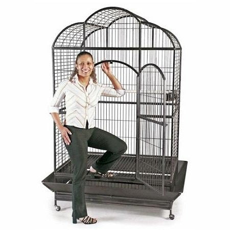 Prevue Pet Wrought Iron Silverado Macaw Dometop Bird Cage - 10703155