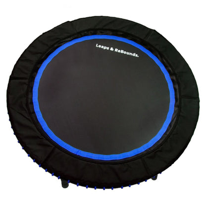 LEAPS & REBOUNDS 48" Adjustable Stability Bar with 48" Fitness Trampoline, Blue - 318052