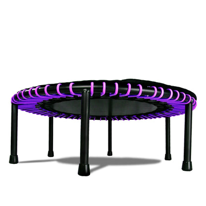 LEAPS & REBOUNDS 48" Adjustable Stability Bar w/ 48" Fitness Trampoline, Purple - 318054