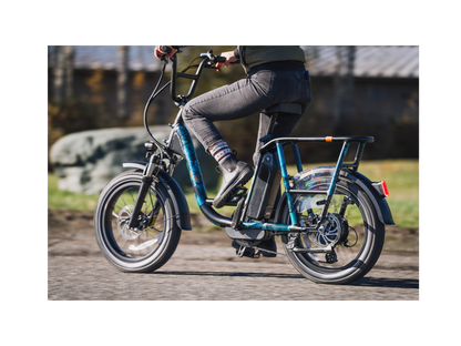 RadRunner™ Plus Electric Cargo Utility Bike - 106-00065