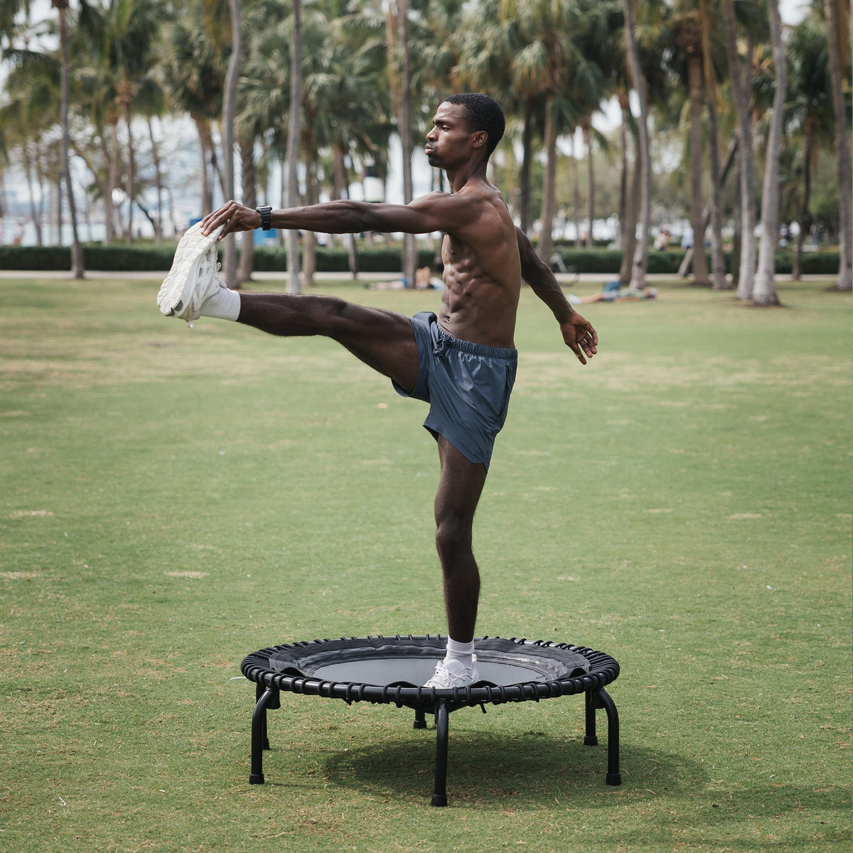 Disc-O-Bed JumpSport 550 Workout Rebounder for Adults, 44" | PRO CE | Mini Exercise Fitness Trampoline Jumper with Cables | Black - 414166