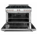 Forza 48 Inch Professional Gas Range - FR488GN