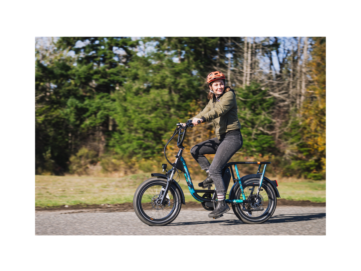 RadRunner™ Plus Electric Cargo Utility Bike - 106-00065