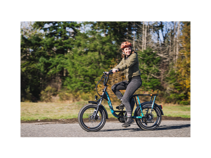 RadRunner™ Plus Electric Cargo Utility Bike - 106-00065