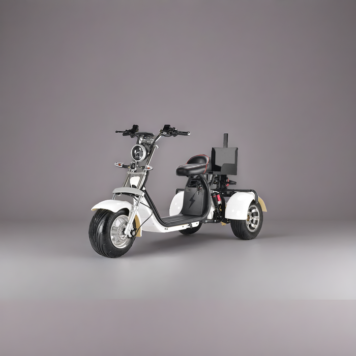 SoverSky T7.3 60V 2000W Electric Golf Trike Scooter - SOV-T73-20AH