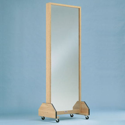 Patterson Medical Sammons Preston Glass Mirrors - 5350