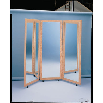 Patterson Medical Sammons Preston Glass Mirrors - 5350