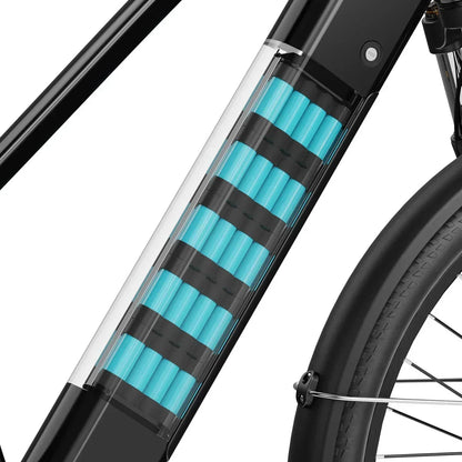Aipas C2 Xpress Ebike - C2-S-BK-PRO