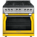 Forza 36 Inch Professional Gas Range - FR366GN